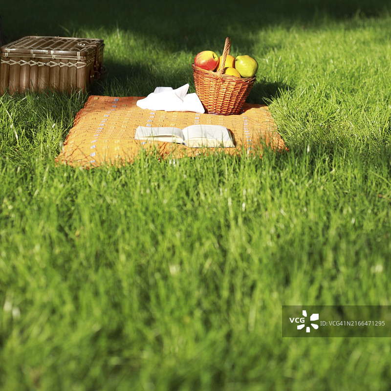 夏季公园草地上装满水果的野餐篮图片素材