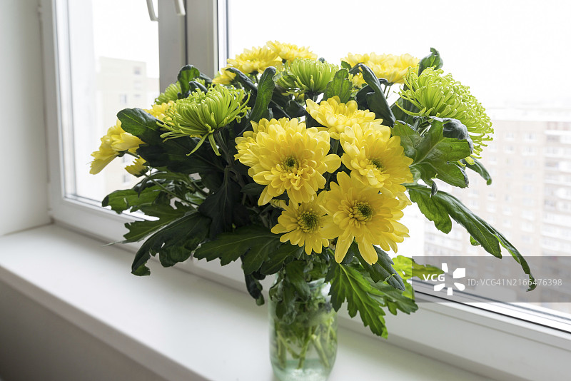 窗台上的黄色菊花图片素材