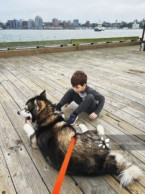 码头上与狗玩耍的男孩图片素材