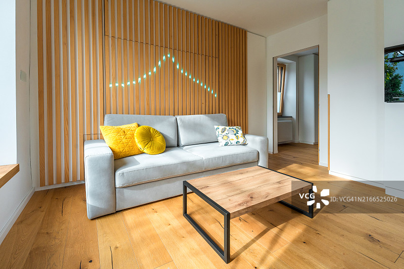 具有优雅装饰的现代公寓客厅图片素材