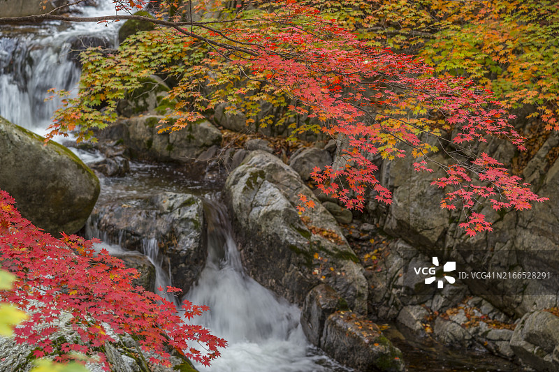 江原道麟蹄郡芳洞溪谷秋色图片素材