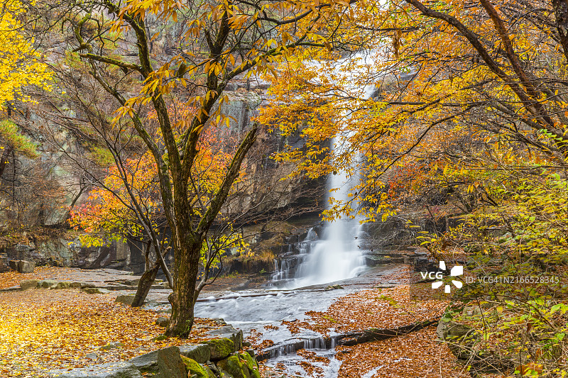 位于忠清北道槐山郡的锁谷瀑布图片素材