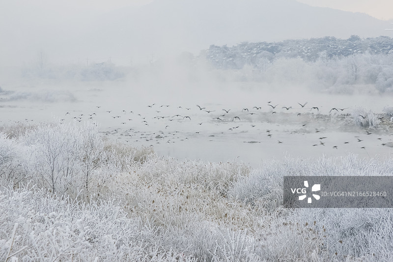 昭阳江雪景河畔风光图片素材