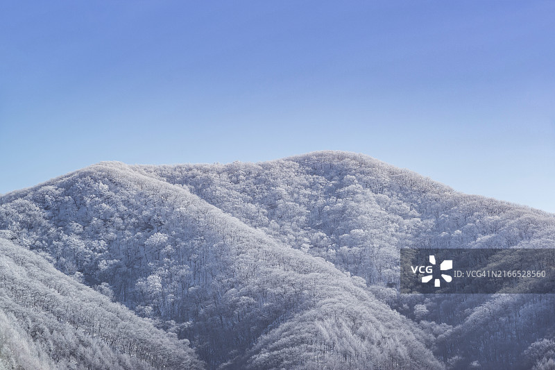横城郡太岐山雪景图片素材