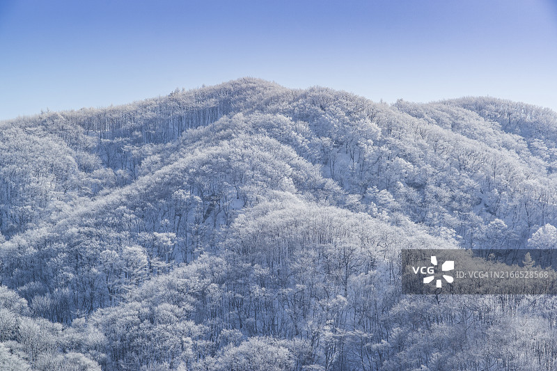 横城郡太岐山雪景图片素材