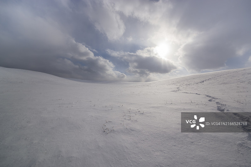 瑞山牧场的雪景，忠清南道瑞山市图片素材