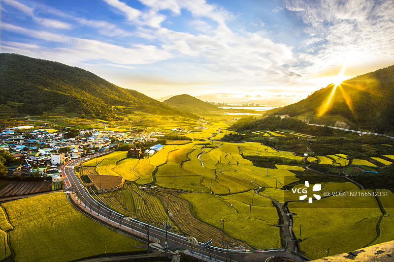 妙岛梯田秋日日出（丽水）图片素材