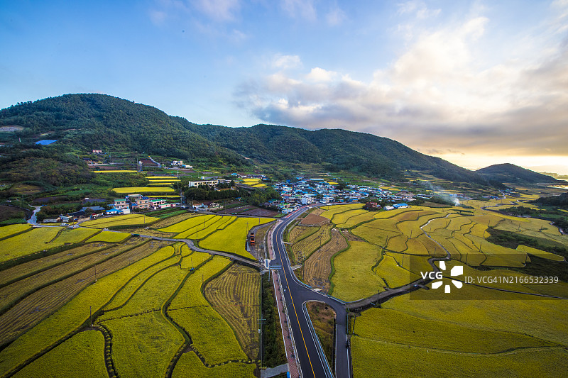 妙岛梯田，秋季日出，丽水图片素材