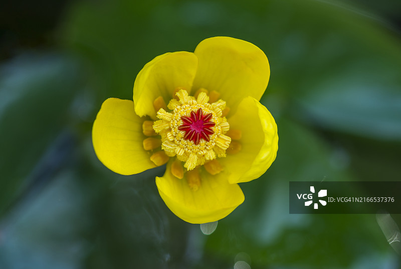 论山市甲川的南溪渊图片素材