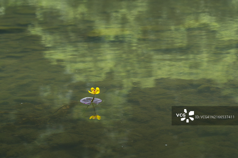 论山市甲川的南溪渊图片素材