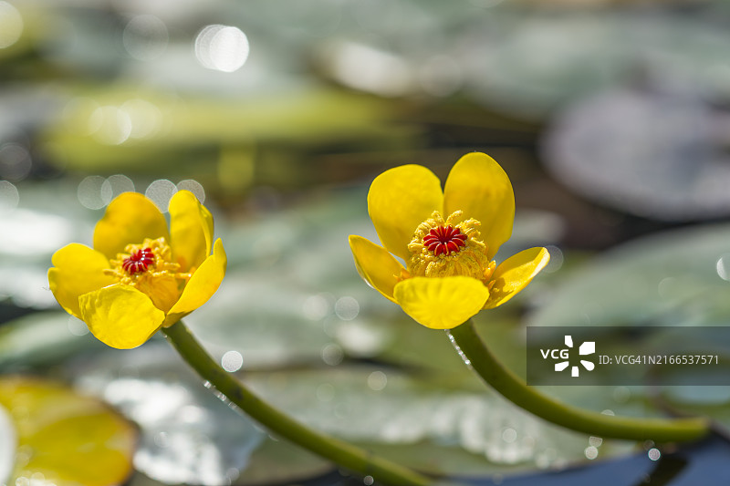 论山市甲川的南溪渊图片素材