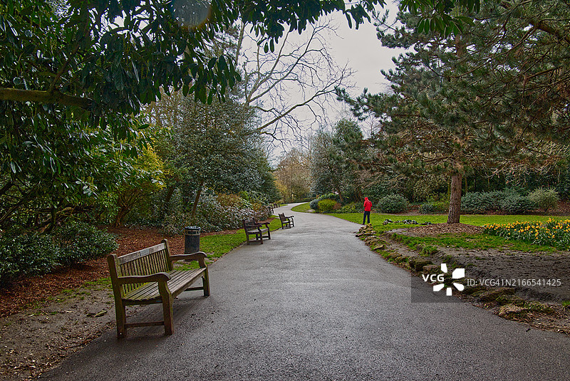 伦敦海格特公墓图片素材