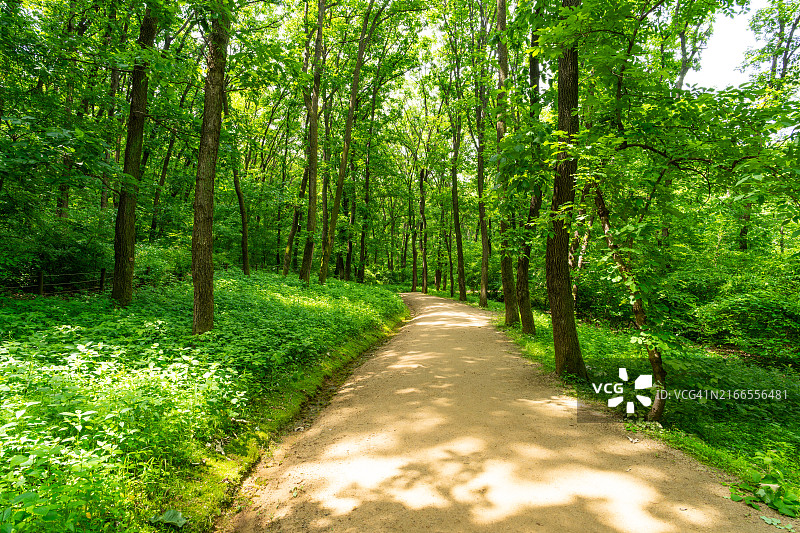 金浦长陵山林小路，韩国京畿道金浦市图片素材