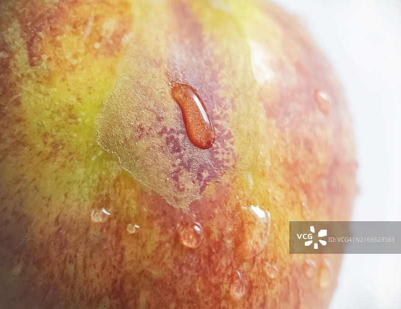 带有水滴的桃子特写，展示其新鲜多汁的质地和鲜艳的橙色、黄色和深红色图片素材