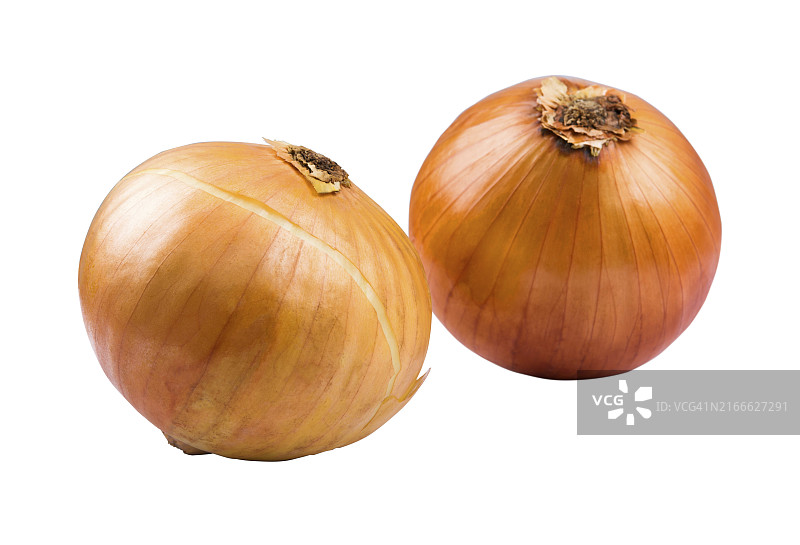 白色背景上的两个洋葱图片素材