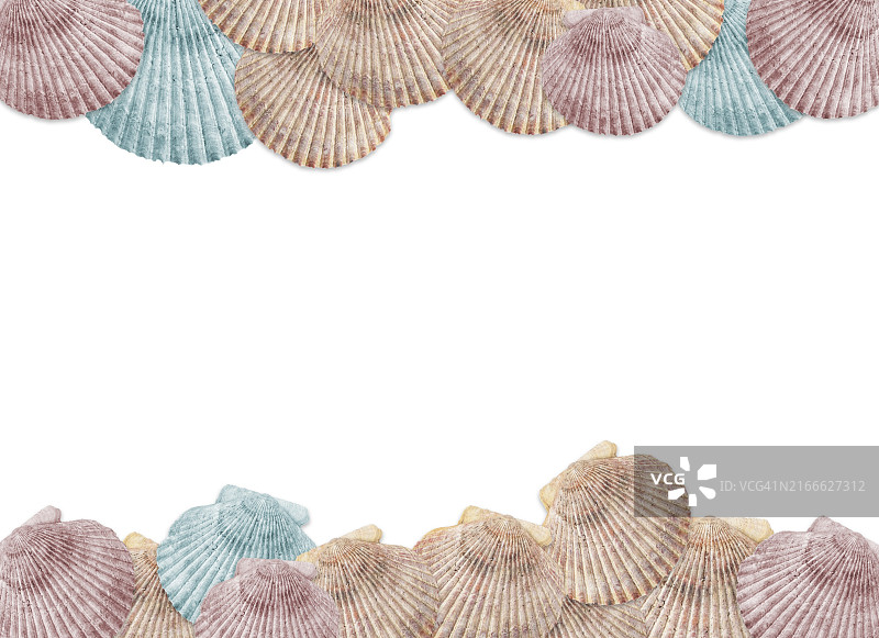 贝壳相框背景图片素材