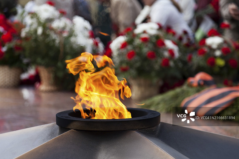 胜利日的永恒之火纪念粉色花朵图片素材