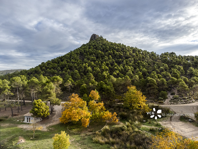 地中海松树林的秋季山景航拍图片素材