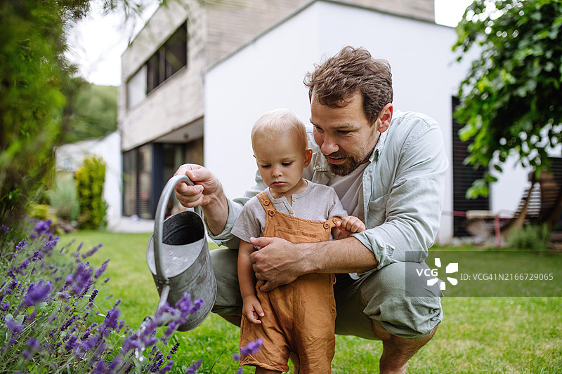 小男孩花园浇水，父子温馨时刻图片素材