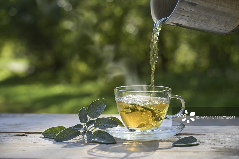 将热水倒入装有鼠尾草叶的玻璃杯中，治疗咳嗽的健康草药茶图片素材