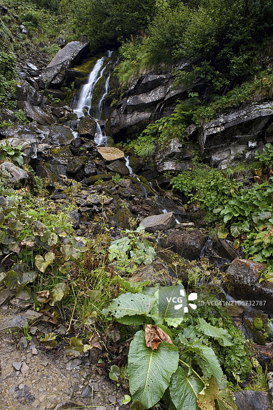 山间瀑布：乌克兰喀尔巴阡山脉风光图片素材