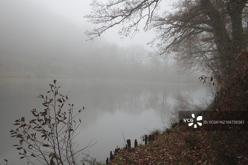 村庄池塘的秋雾图片素材