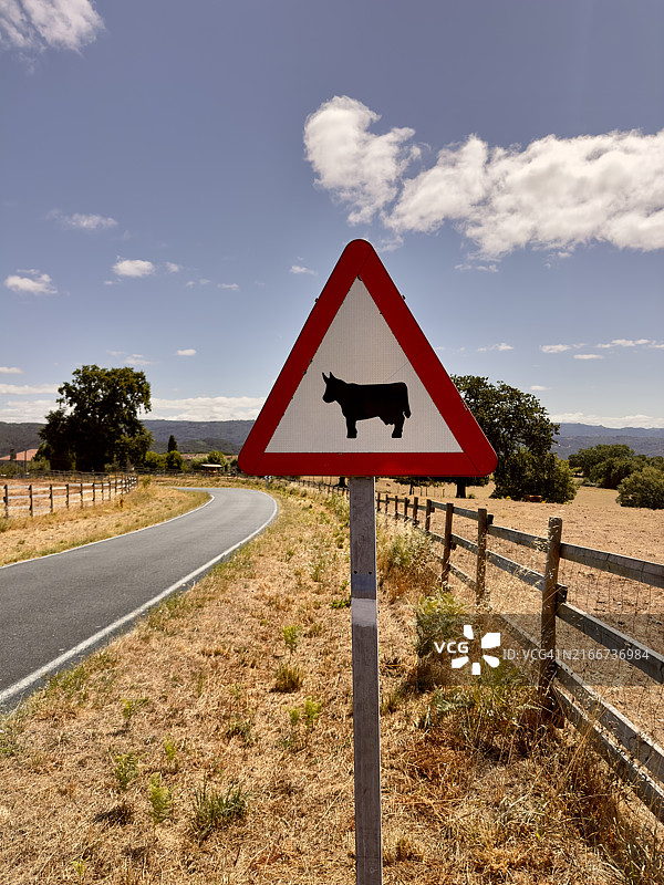 注意前方牲畜标志，当心牛群图片素材
