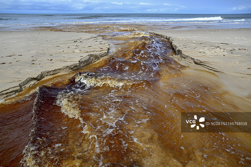 刚果盆地的丹宁酸水流入大西洋，小洛安果，洛安果国家公园，加蓬，非洲图片素材