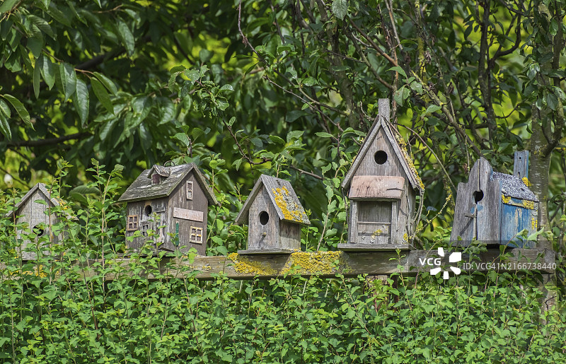 德国北莱茵-威斯特法伦州风化鸟巢箱合集图片素材