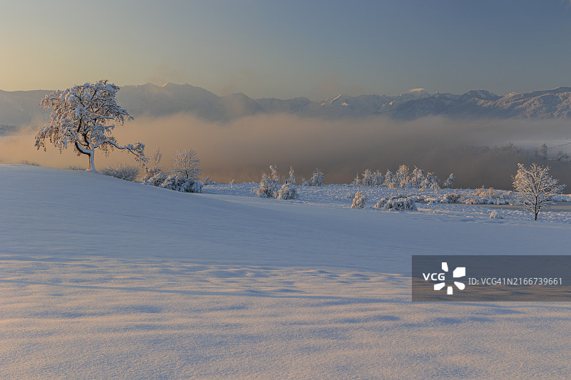 清晨山间湖泊，雾雪中的里格湖与楚格峰远景，德国巴伐利亚图片素材