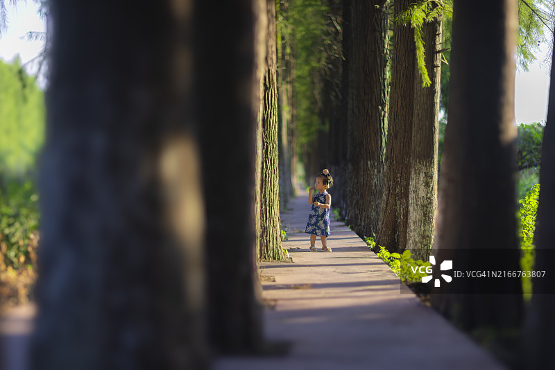女宝宝在春夏季节探索自然小路图片素材