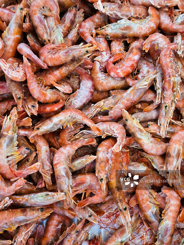 市场上的新鲜虾图片素材