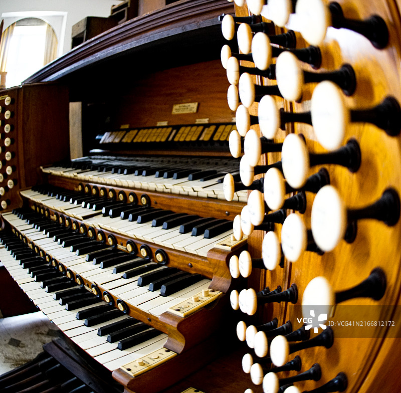 管风琴鱼眼照片图片素材