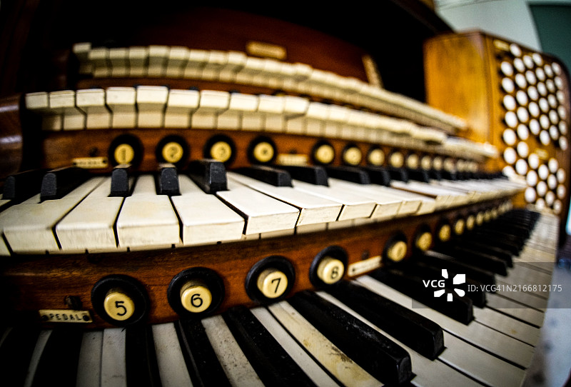 管风琴鱼眼照片图片素材