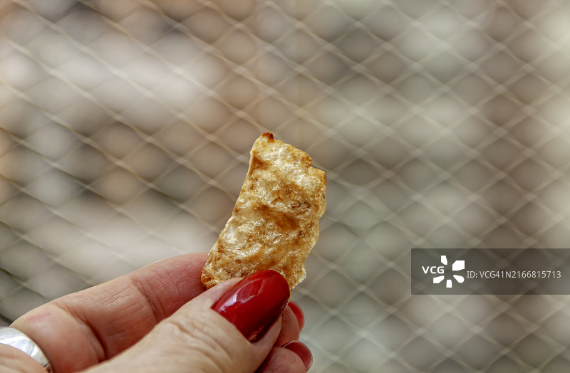 我的视角：手指拿着一块脆皮猪肉图片素材