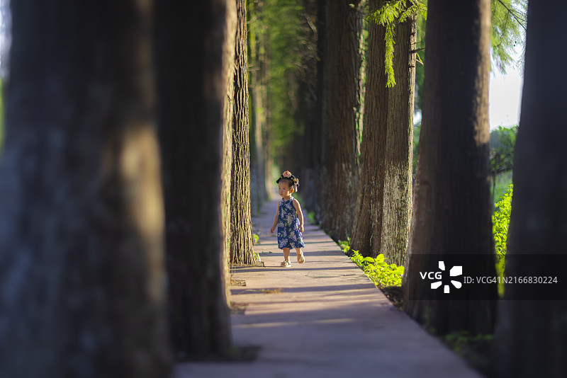 女宝宝在春夏季节探索自然小路图片素材