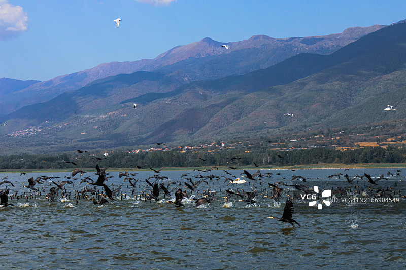 湿地风光图片素材