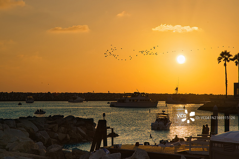 美国加利福尼亚州雷东多海滩上，飞越天空的鸟剪影图片素材