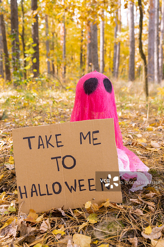 纸板“带我去万圣节”文本，万圣节不给糖就捣蛋粉色背景图片素材