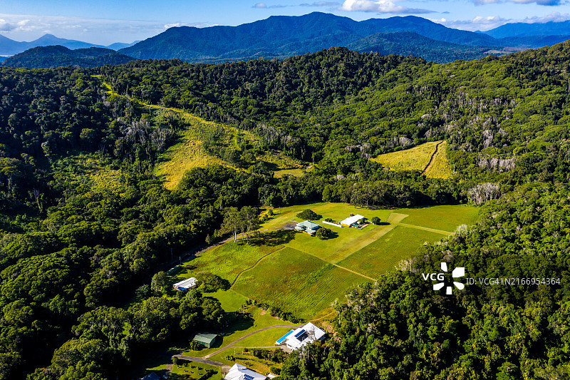 库兰达凯恩斯的热带农场景观，展示了茂盛的绿色植物和山脉背景图片素材
