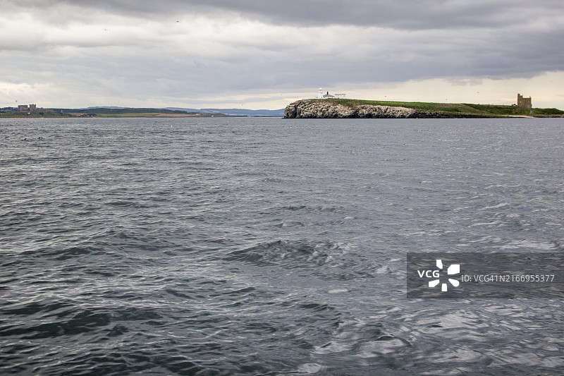 英格兰诺森伯兰郡大陆的法恩群岛内岛，英国图片素材