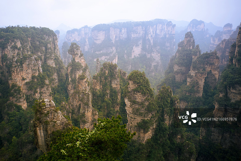 云雾中的张家界图片素材