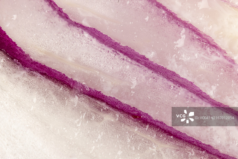 粉白色洋葱（Allium cepa）的特写，结构清晰可见图片素材