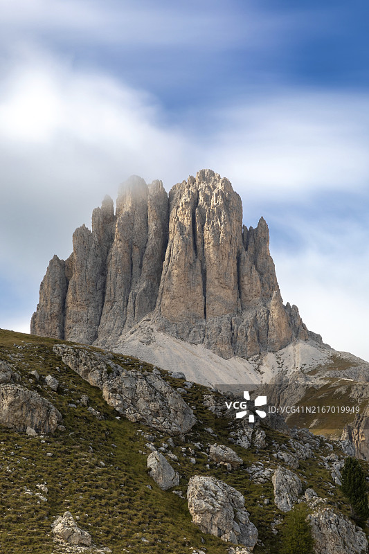 南蒂罗尔沃尔肯玫瑰园中的穆戈尼图片素材