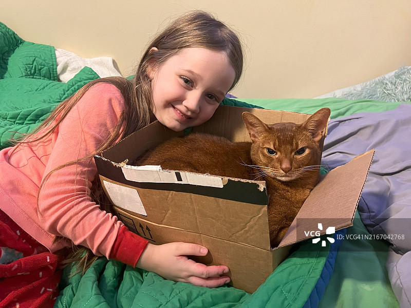 抱着盒中猫的女孩图片素材