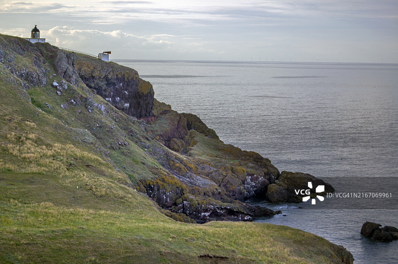 英国苏格兰圣艾布斯海岬的悬崖和灯塔图片素材
