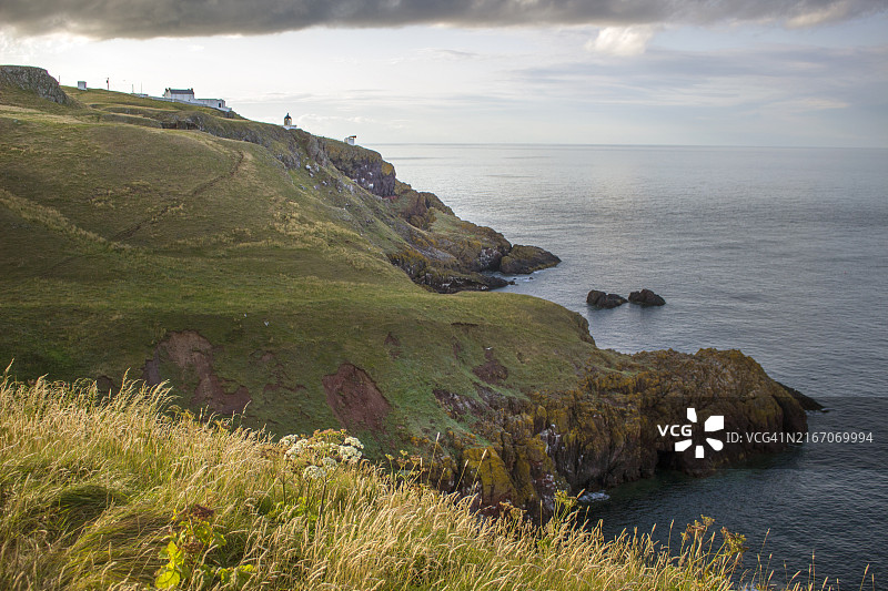 英国苏格兰圣艾布斯海岬的悬崖和灯塔图片素材