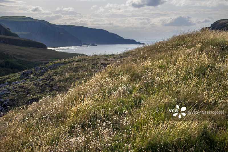 英国苏格兰圣艾布斯图片素材