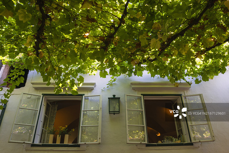 在凉棚的阴影下图片素材