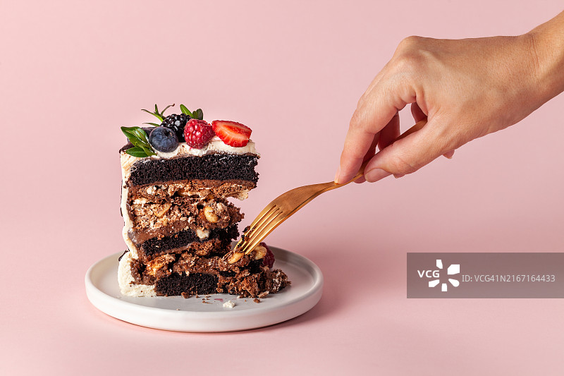 带浆果的巧克力蛋糕图片素材